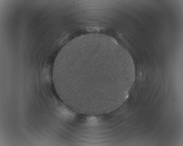 X0000080730616200701121912