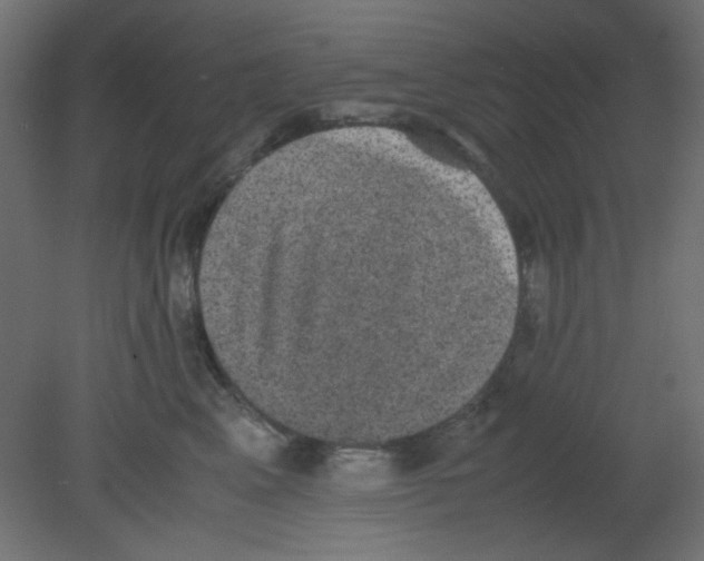 X0000080730617200701121912