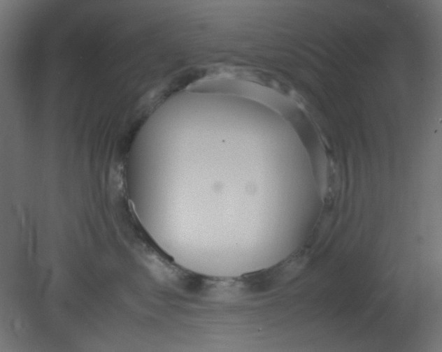 X0000080730621200701121912