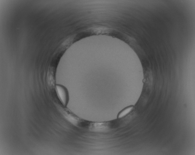 X0000080730622200701121912