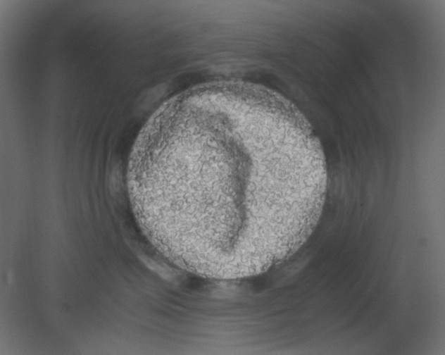 X0000080730623200701121912