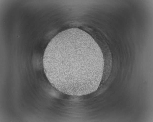 X0000080730624200701121912