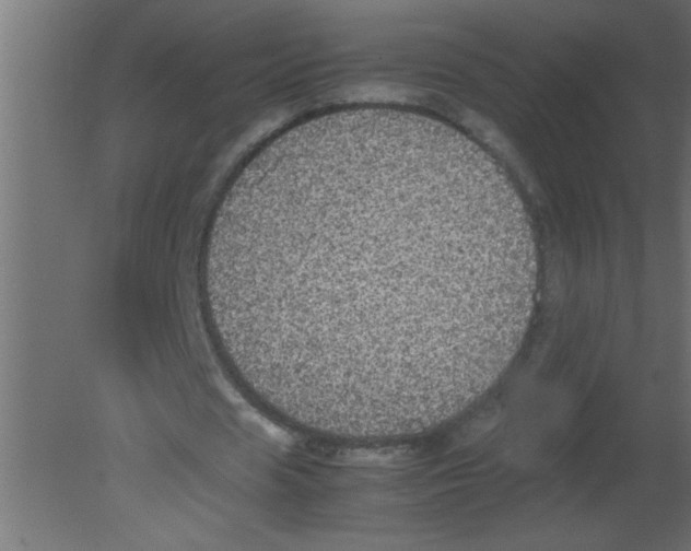 X0000080730625200701121911