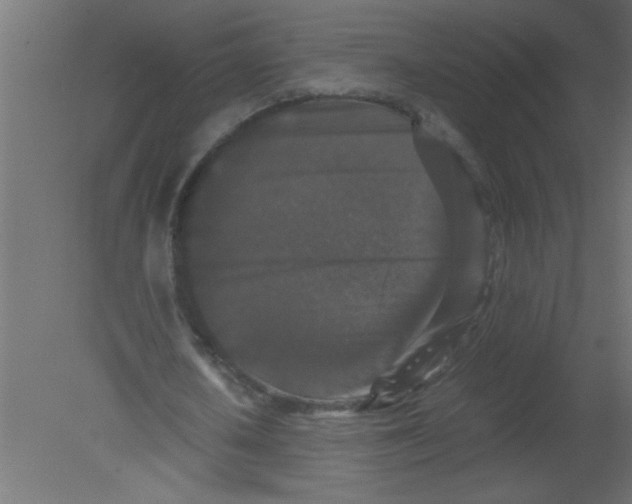 X0000080730626200701121911