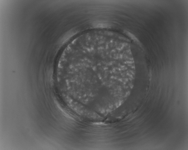 X0000080730627200701121911