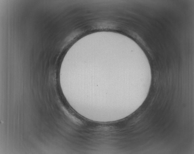 X0000080730629200701121911