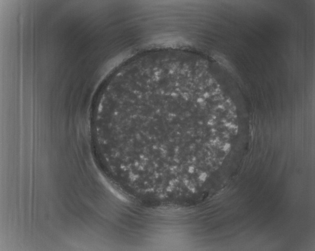 X0000080730630200701121911