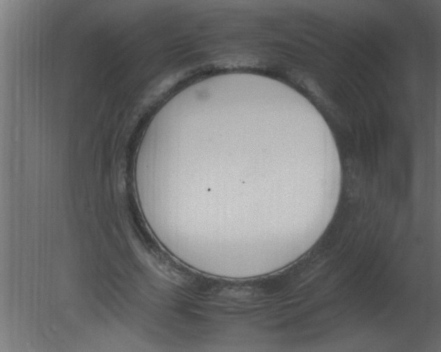 X0000080730631200701121911