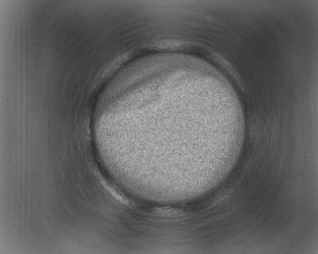 X0000080730633200701121911