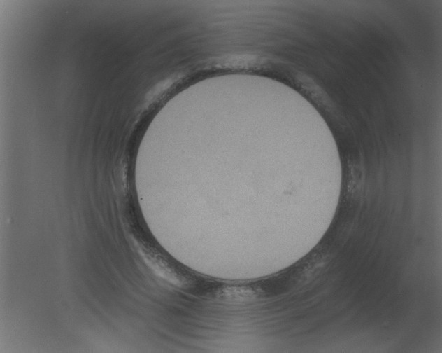 X0000080730636200701121911