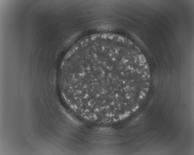 X0000080730637200701121911