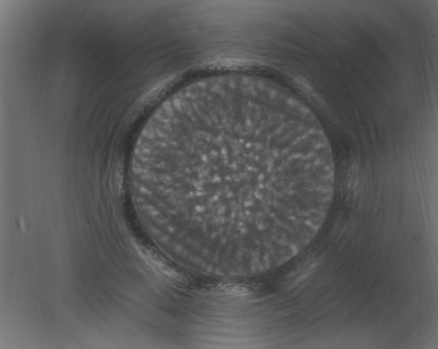 X0000080730640200701121911