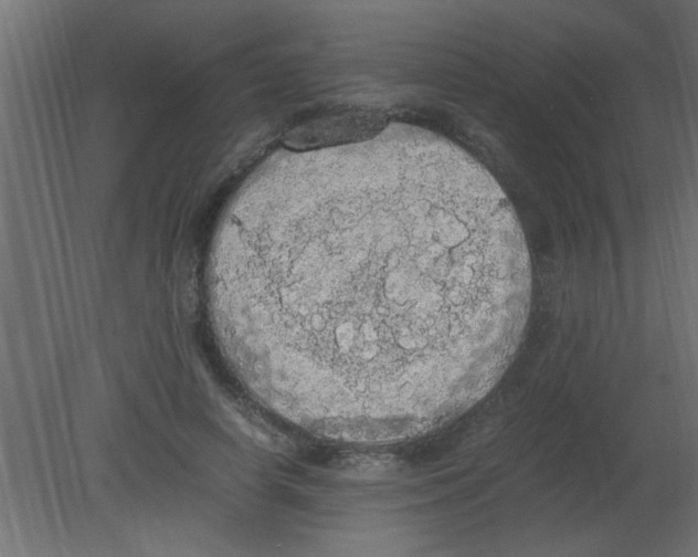 X0000080730642200701121911