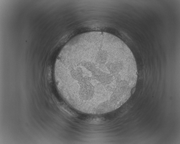 X0000080730646200701121911