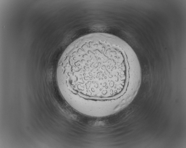 X0000080730647200701121911