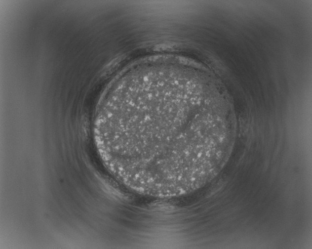 X0000080730648200701121911