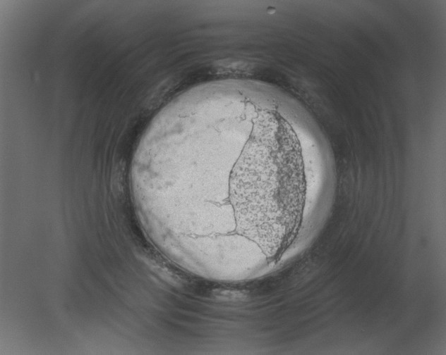 X0000080730649200701121911