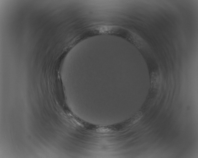 X0000080730650200701121912