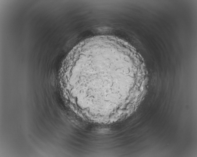 X0000080730651200701121912