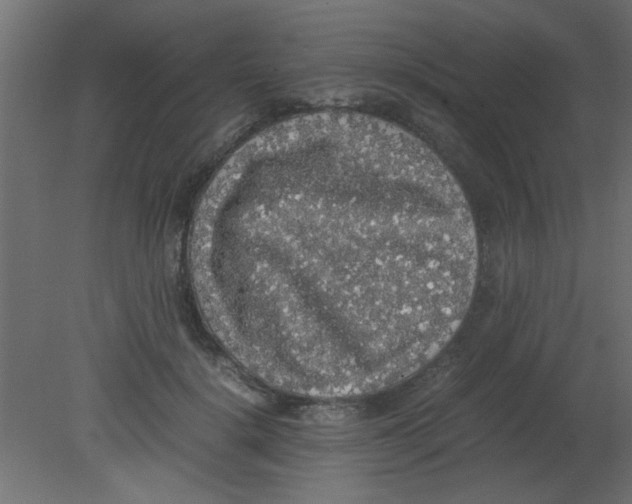 X0000080730652200701121912