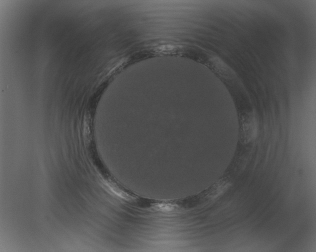 X0000080730654200701121912