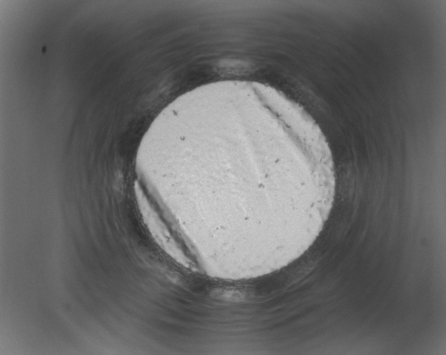 X0000080730655200701121912