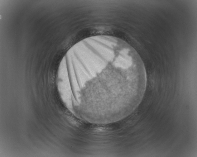 X0000080730657200701121912