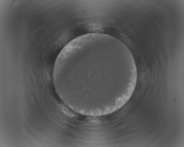 X0000080730658200701121912