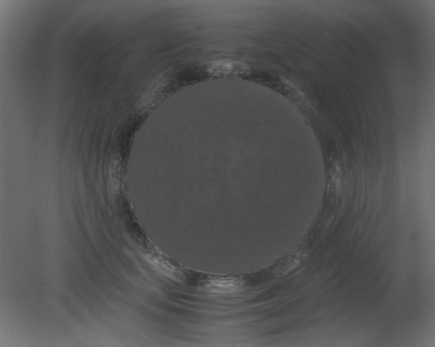 X0000080730659200701121912