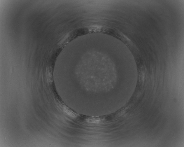 X0000080730661200701121912