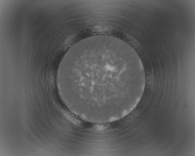 X0000080730662200701121912