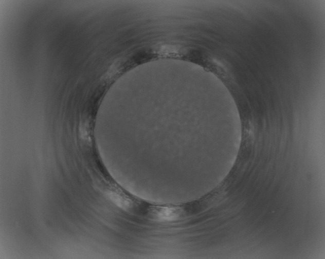 X0000080730663200701121912