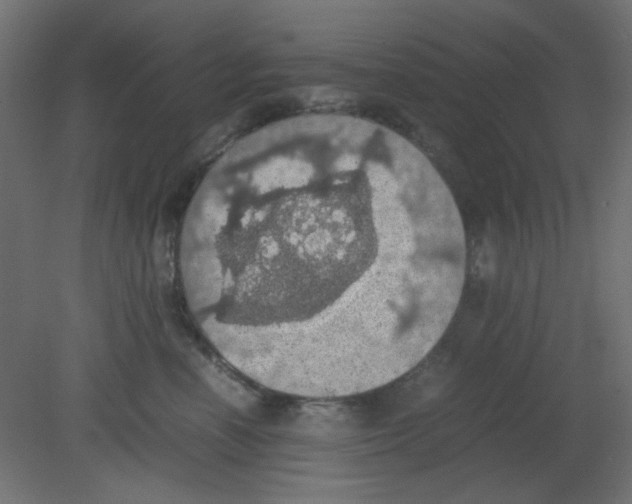 X0000080730666200701121912