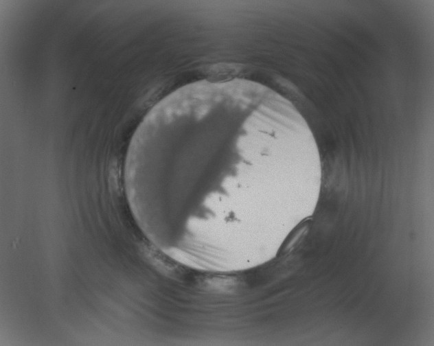 X0000080730669200701121912