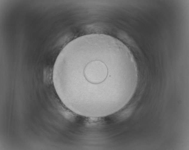 X0000080730672200701121912