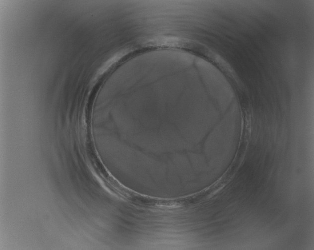 X0000080730674200701121911