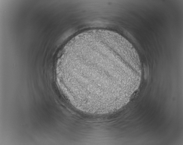 X0000080730675200701121911