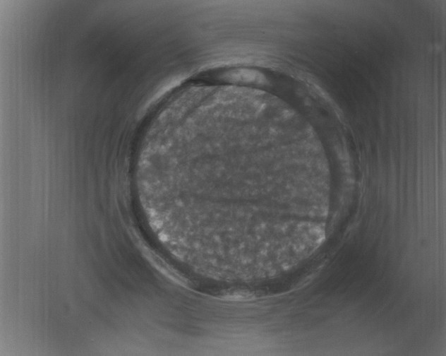 X0000080730677200701121911