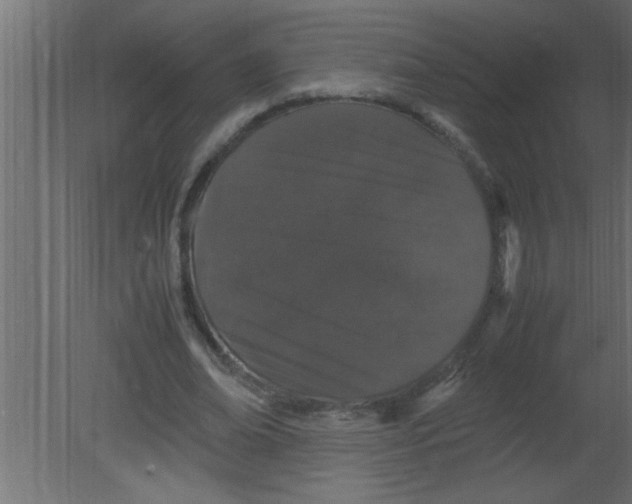 X0000080730678200701121911