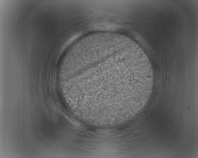 X0000080730679200701121911