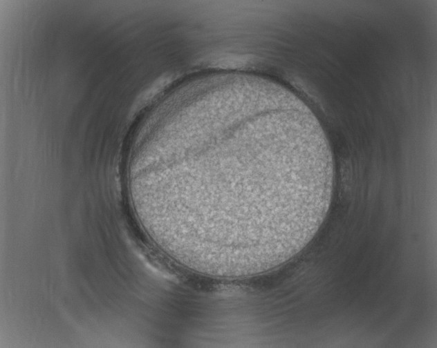 X0000080730682200701121911