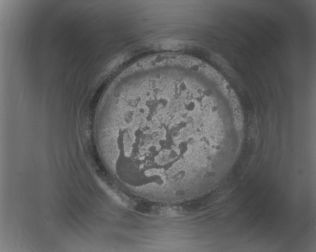 X0000080730683200701121911