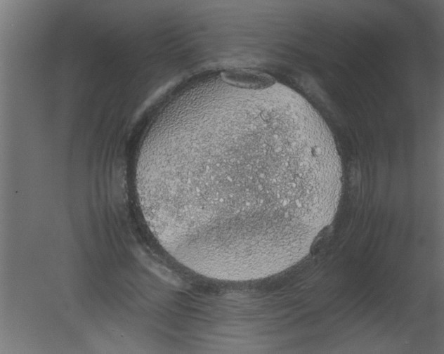 X0000080730684200701121911