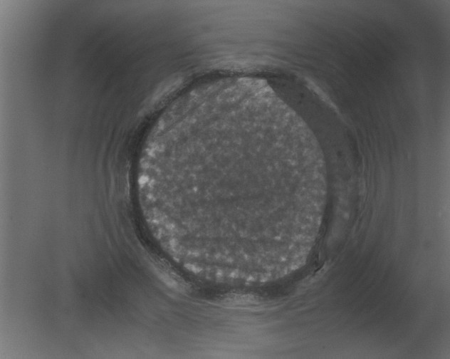 X0000080730685200701121911