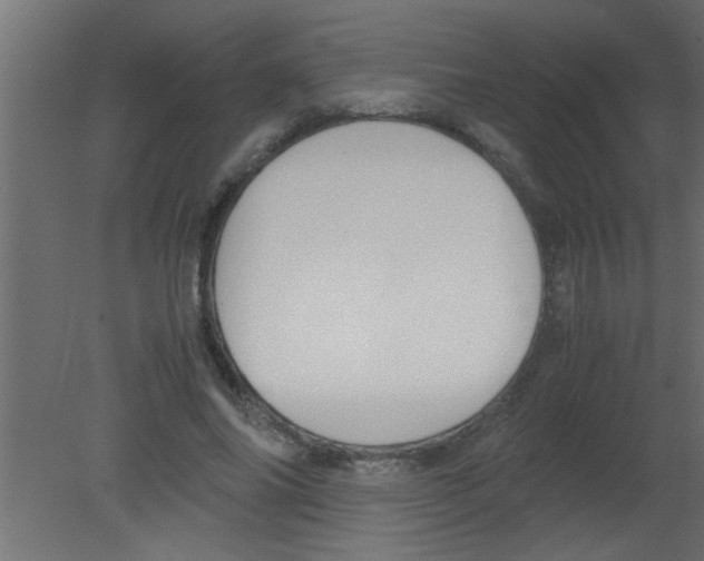 X0000080730686200701121911