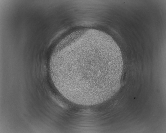 X0000080730688200701121911