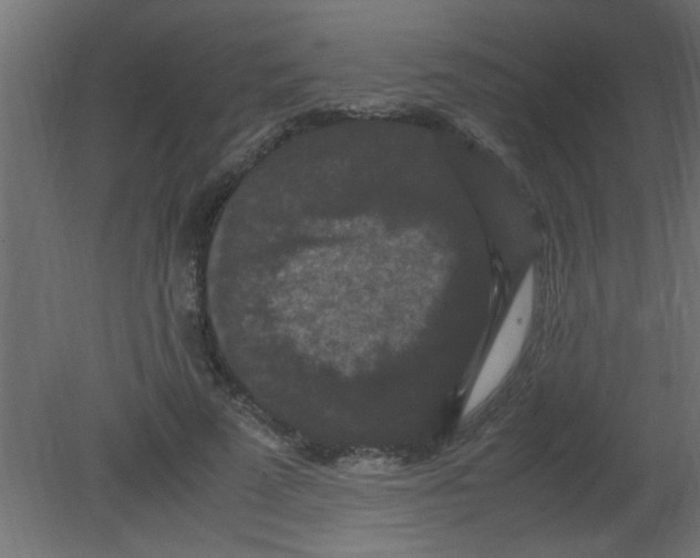 X0000080730689200701121911