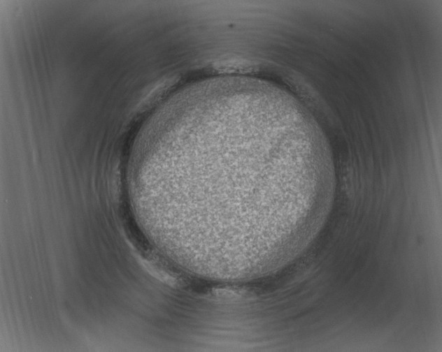 X0000080730690200701121911