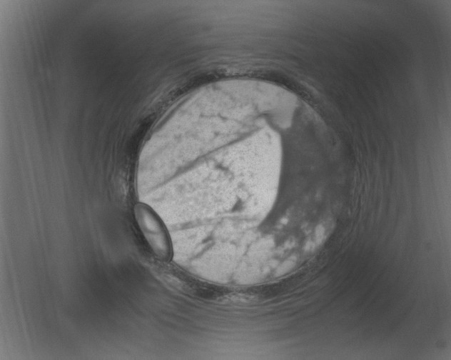 X0000080730691200701121911