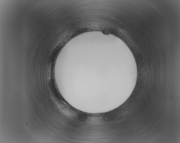 X0000080730694200701121911